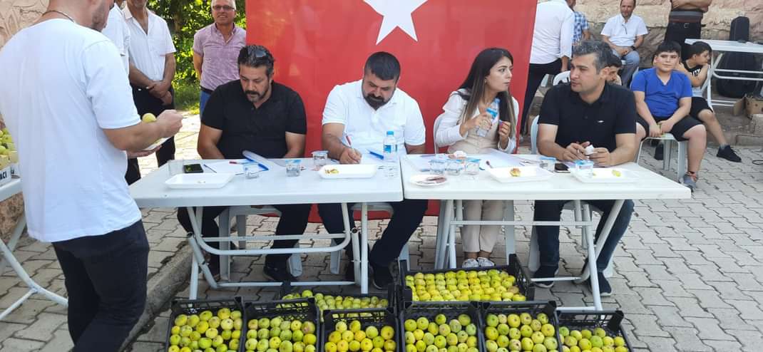 Akçabel Köyü İncir Festivali