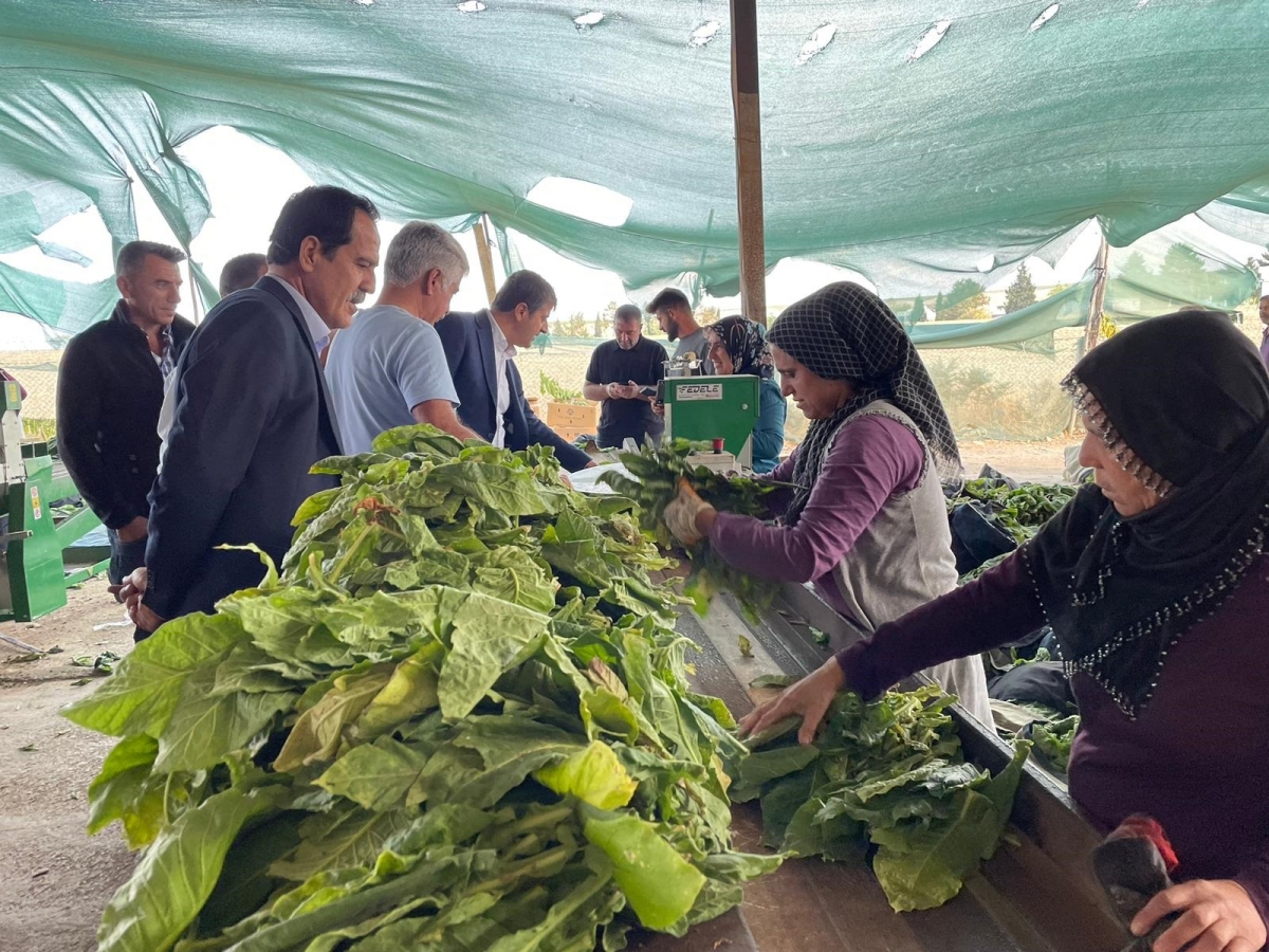 Tutdere  köy ziyaretleri 