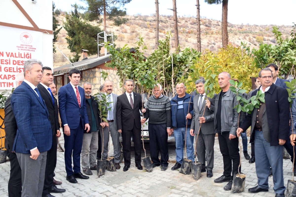 Gölbaşı Hurma Hasadı