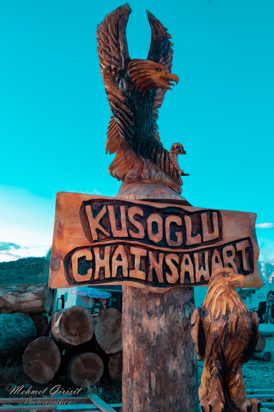 Ağaç Kütüklerini Sanat Eserlerine Çeviriyor