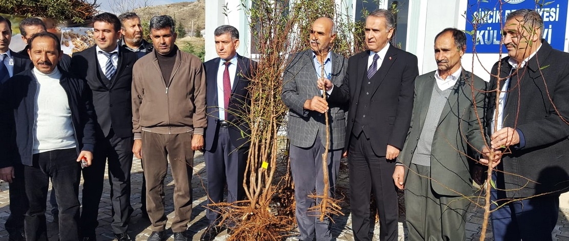 Sincik ve Samsat’ta meyve fidanı dağıtıldı
