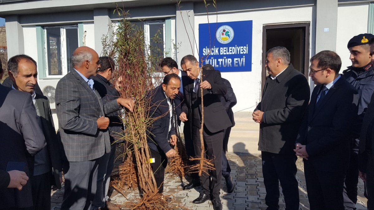 Sincik ve Samsat’ta meyve fidanı dağıtıldı