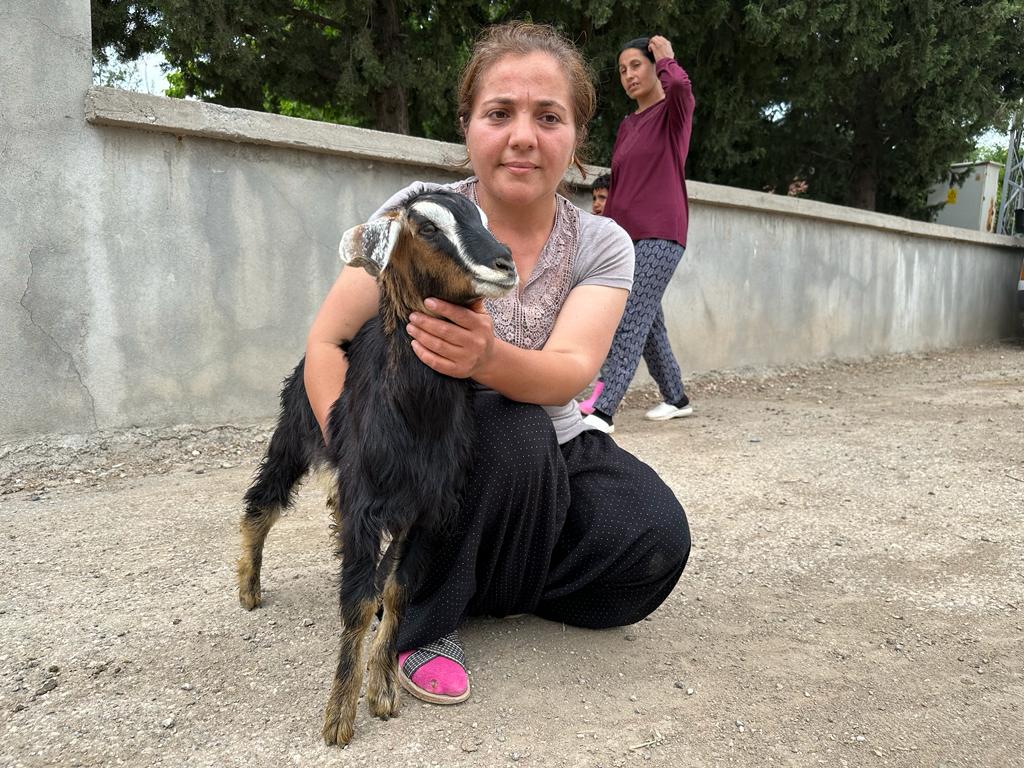 kurban