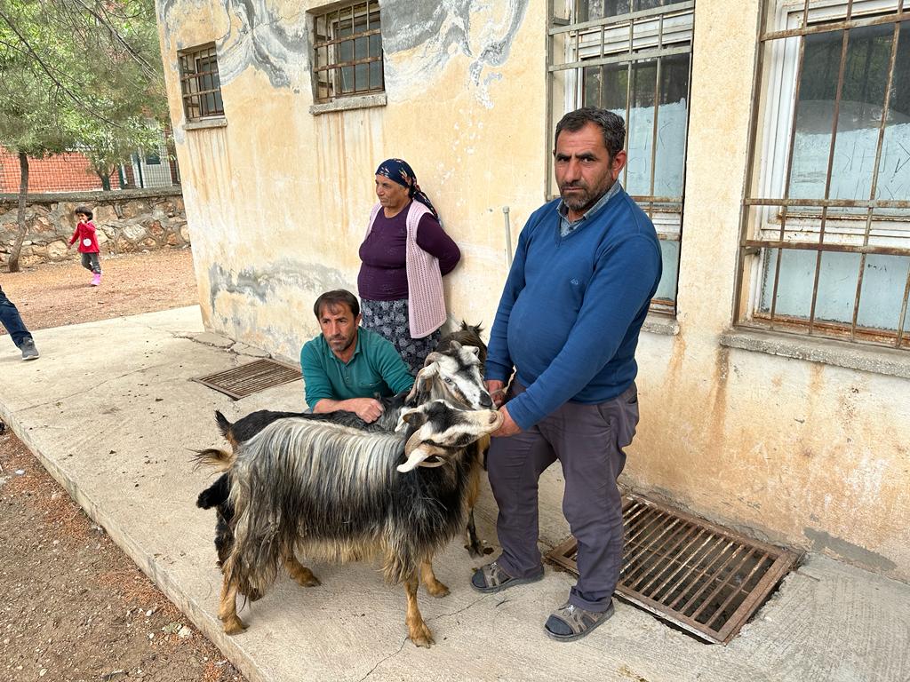kurban