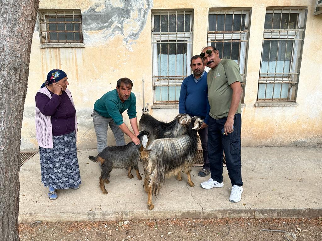 kurban