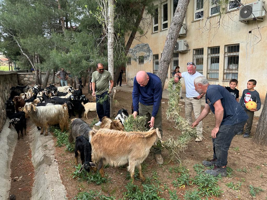 kurban