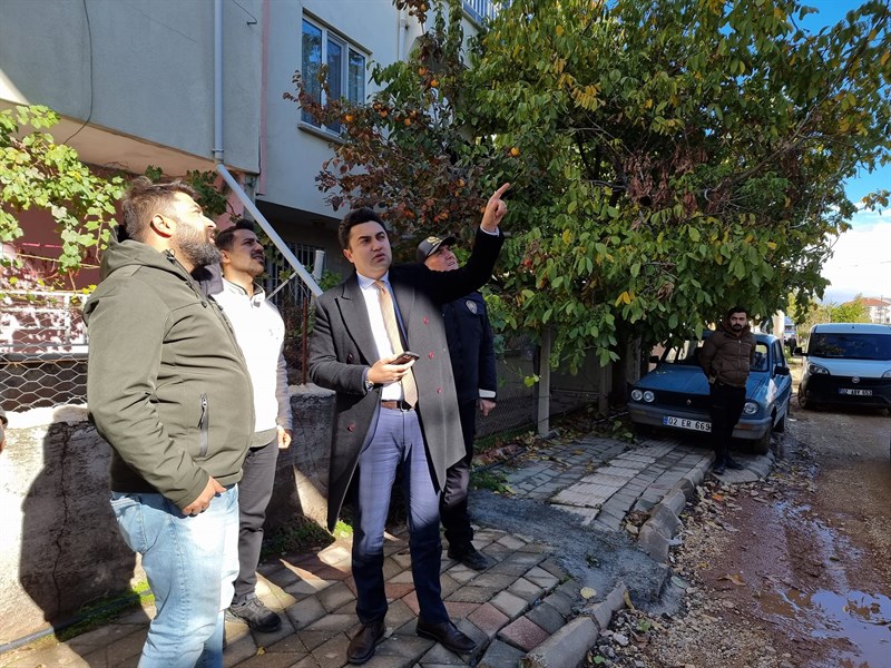 Kaymakam Seyhan,İnceleme