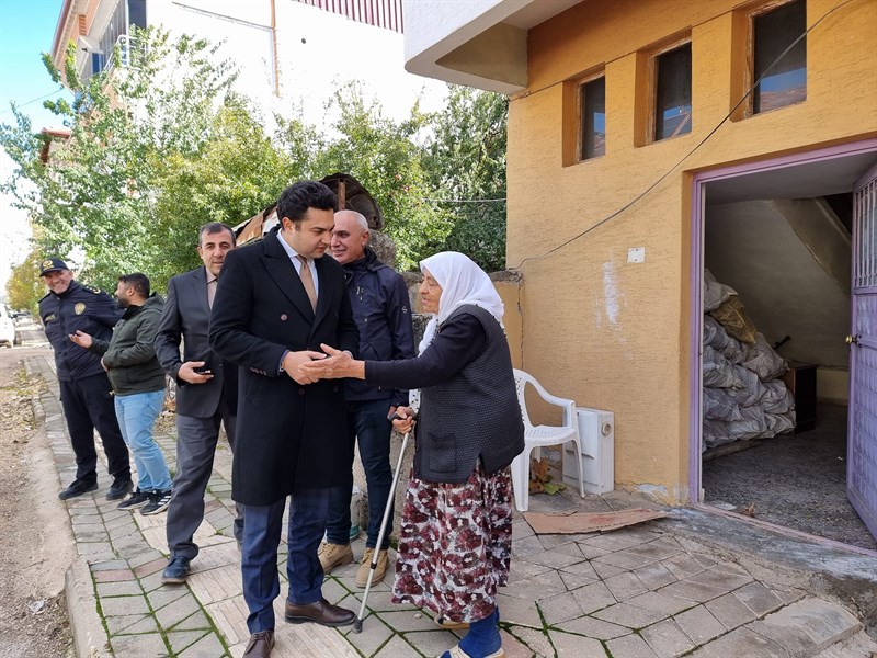 Kaymakam Seyhan,İnceleme
