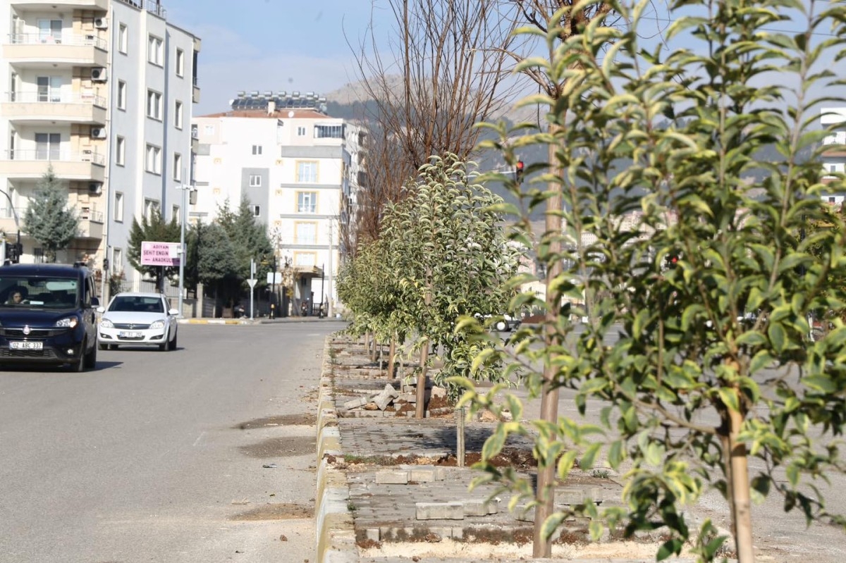 Ağaçlandırma çalışması hızla devam ediyor