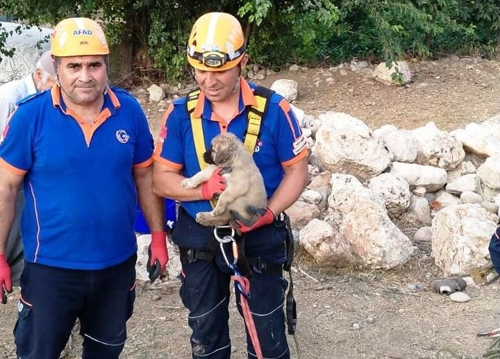 Su kuyusuna düşen yavru köpek kurtarıldı