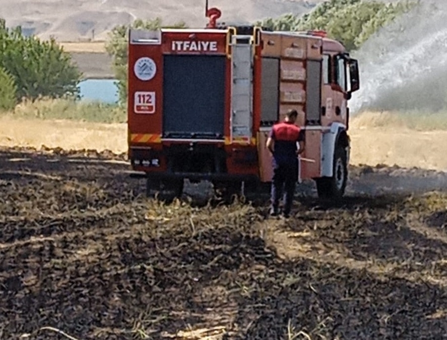 Anız yangınında yaban hayvanlar telef oldu 