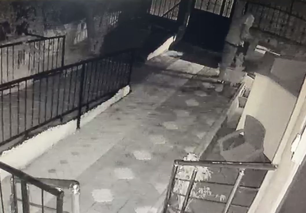 Yavru köpeğin çalınma anı güvenlik kamerasına yansıdı 