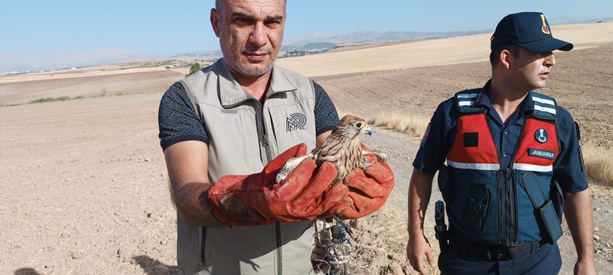 Atmacaları yakalayan 2 şüpheli jandarmadan kaçamadı