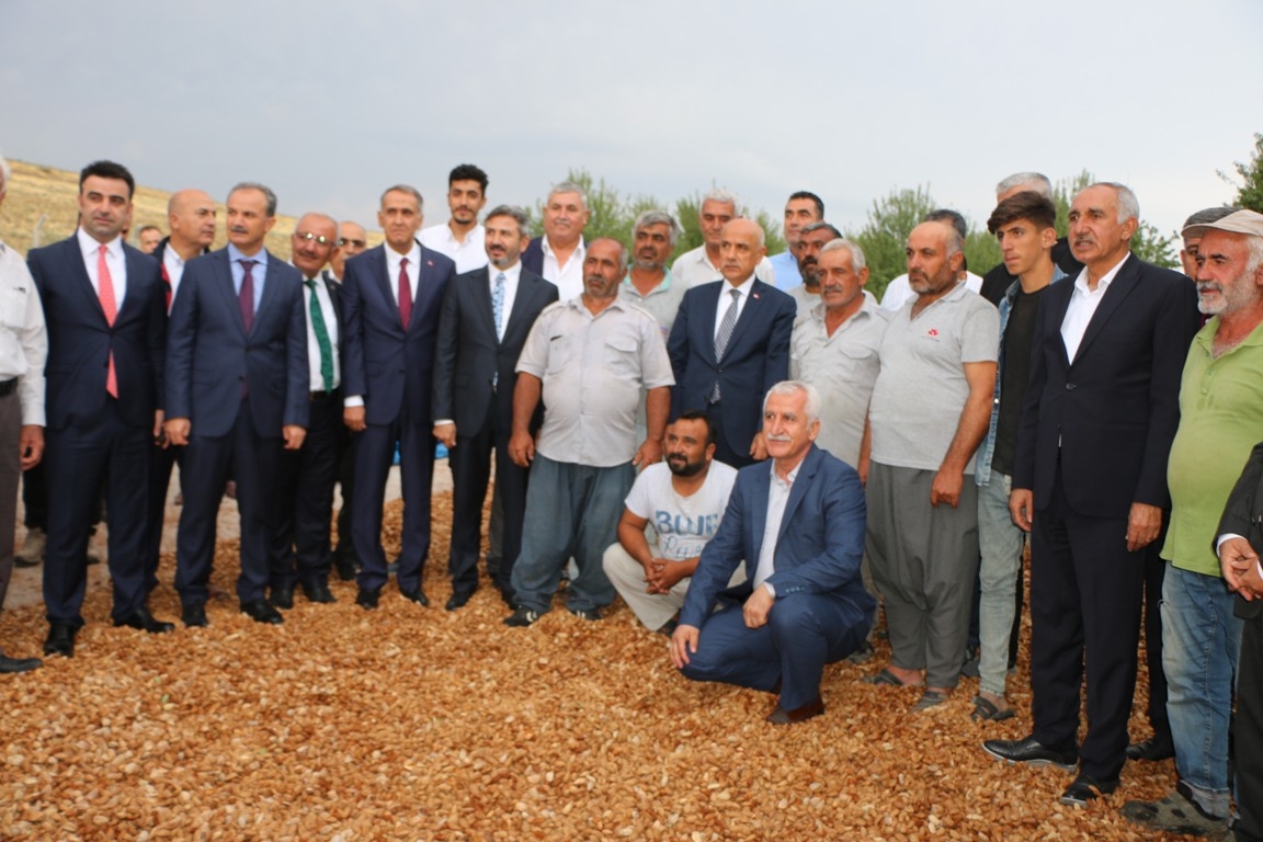 Bakan Kirişci: Kent tarımına önem veriyoruz - Videolu Haber