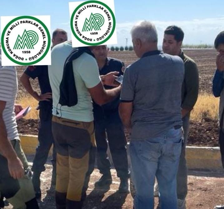 Kaçak avlananlara göz açtırılmıyor
