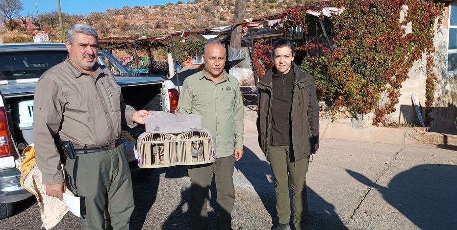 Jandarma kaçak avcılara göz açtırmıyor
