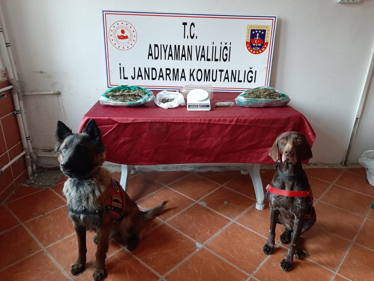 Jandarmadan uyuşturucu operasyonu 24 tutuklama