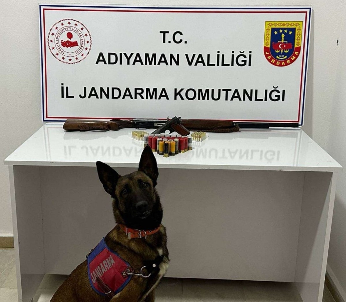 Adıyaman'da ruhsatsız tabanca ve tüfeğe 1 tutuklama