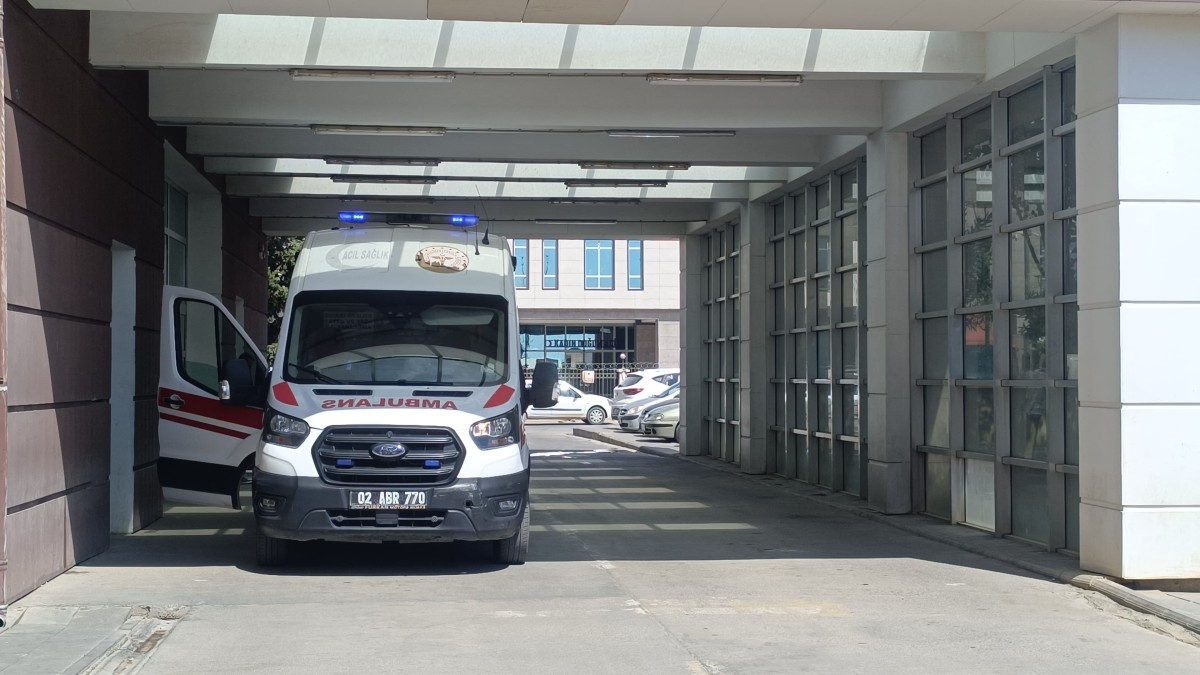 Yolun karşısına geçerken hayatını kaybetti