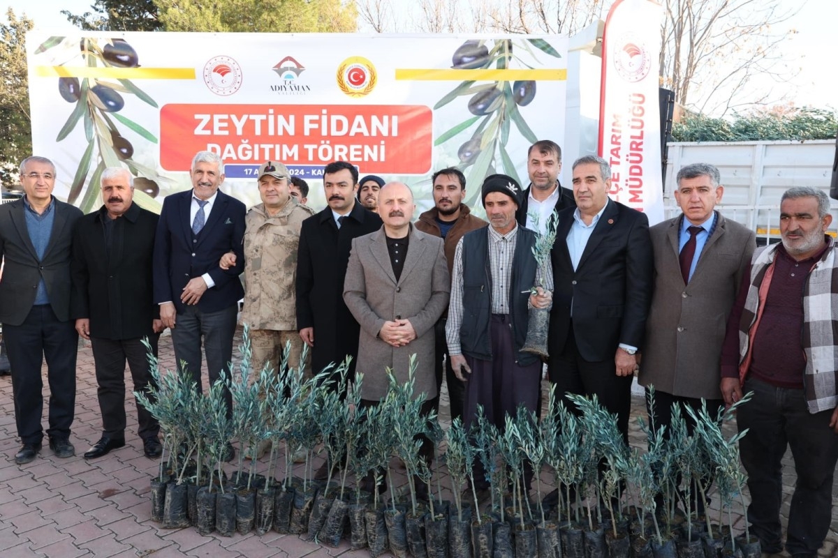Kahta’da 70 bin zeytin fidanı dağıtıldı