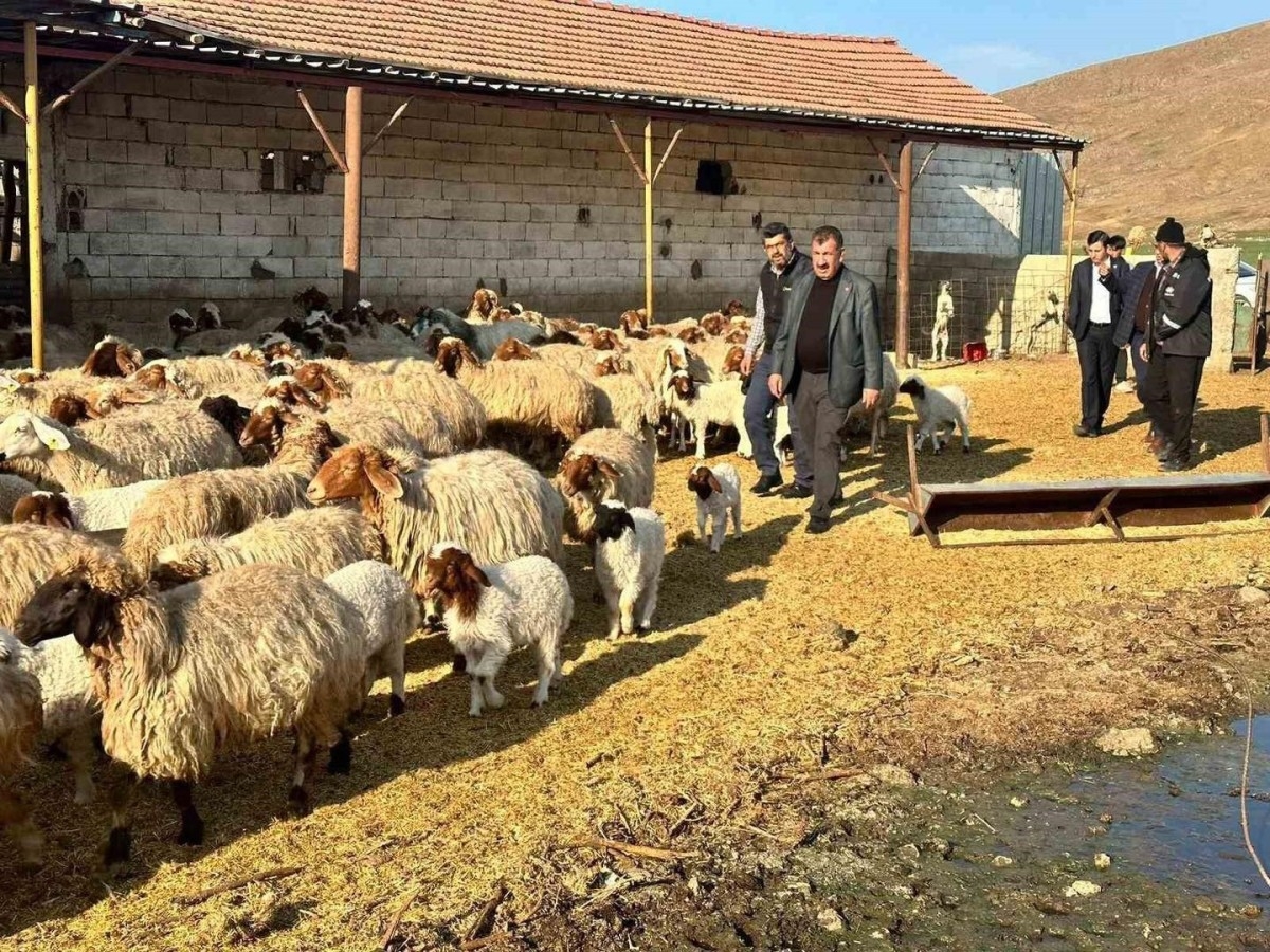 TÜDKİYEB Başkanı Çelik: '2024'te küçükbaş hayvancılıkta atılım yılı oldu, 2025 için büyük hedeflerimiz var'